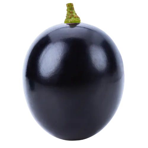 Grapes | Greensphere Global