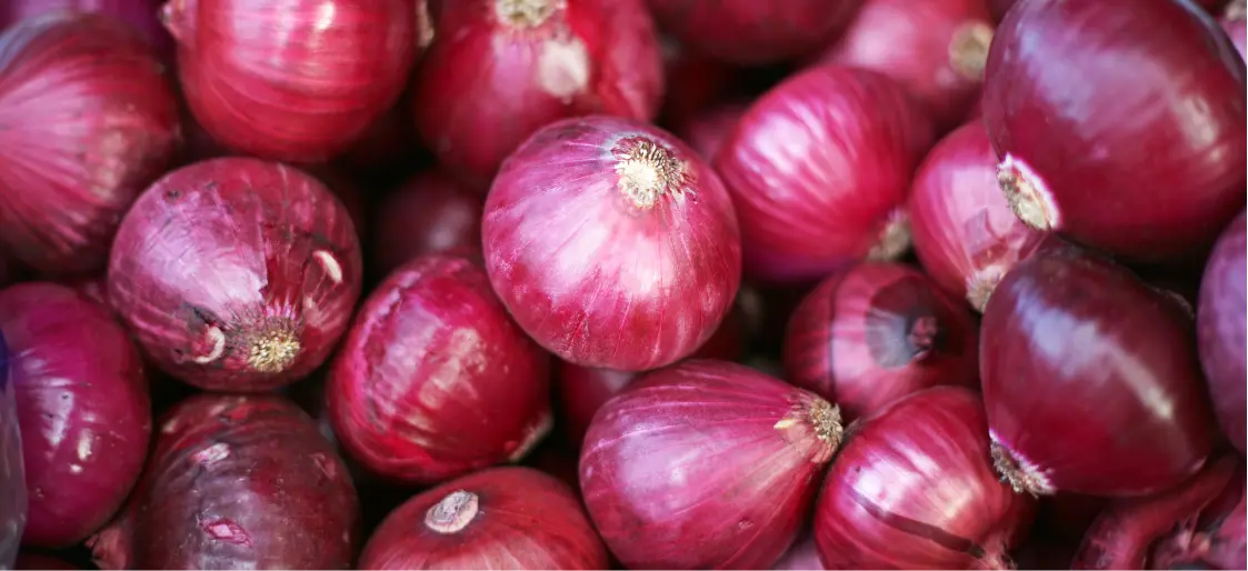 Onion | Greensphere Global Onion | Greensphere Global