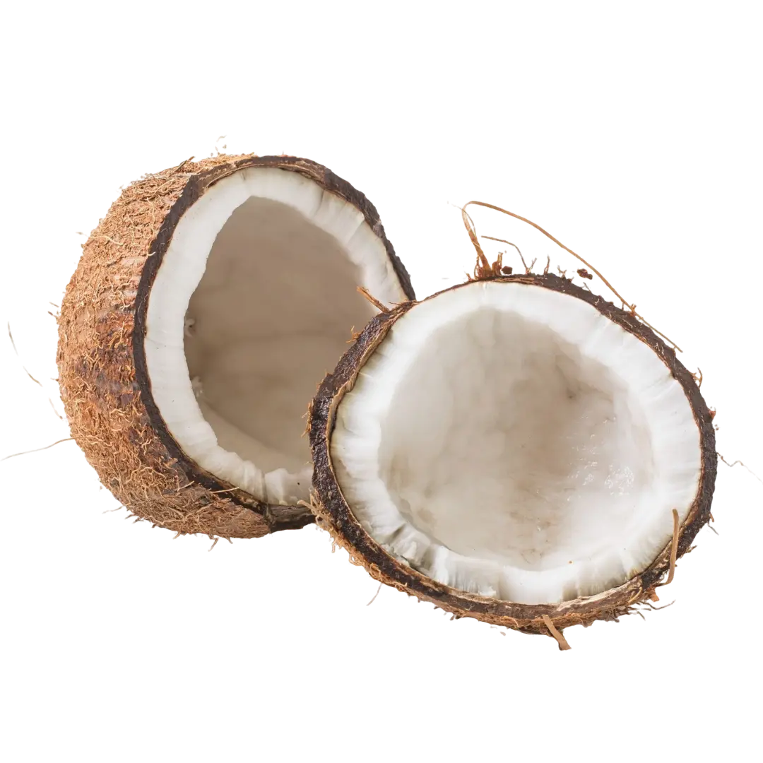 Coconut | Greensphere Global
