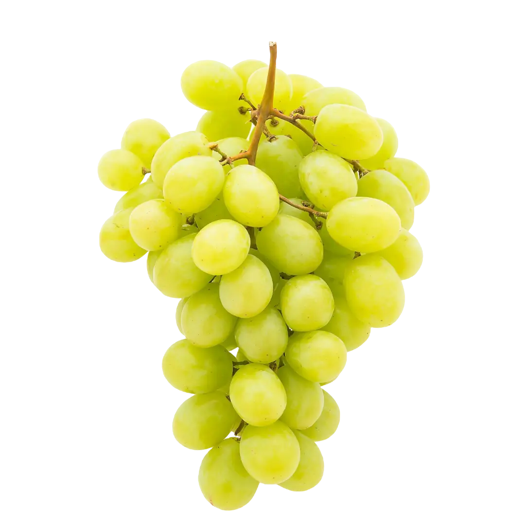 Grapes | Greensphere Global